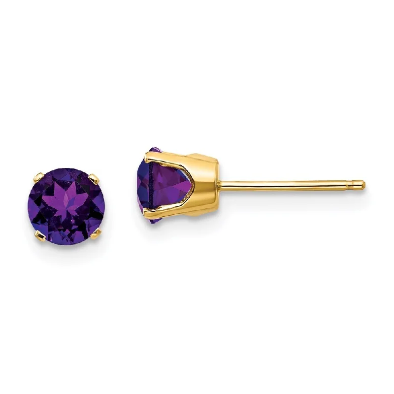 14k Yellow Gold Gemstone Stud Earrings - February (L-5 mm, W-5 mm)