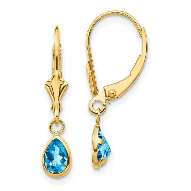 14k Yellow Gold 6x4mm December/Blue Gemstone Earrings (L-23 mm, W-4 mm)