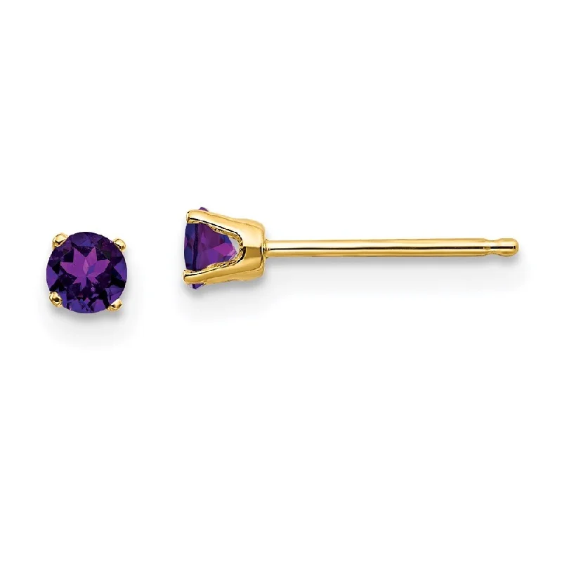 14k Yellow Gold February Gemstone Stud Earrings (L-3 mm, W-3 mm)